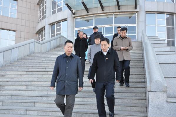 陈冲副市长一行到beat365唯一官网调研