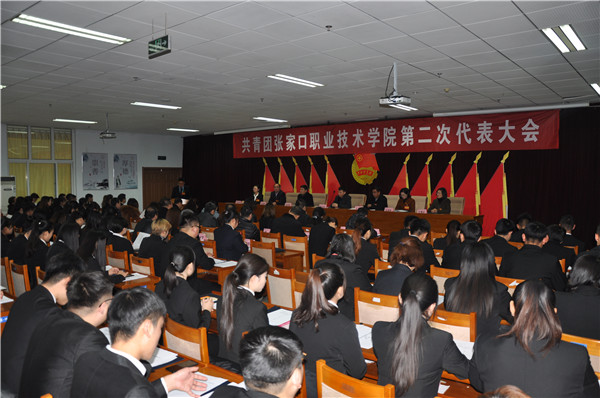 共青团beat365唯一官网第二次代表大会召开